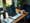 Comparing Open Source Editors for Windows: Features and Suitability